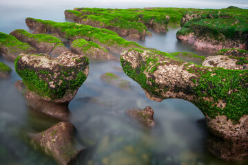 Coastal rocks covered in vibrant green algae at Laomei, Shimen, New Taipei City, Taiwan. A unique natural phenomenon.