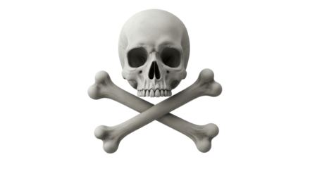 Isolated Skull and Crossbones Icon