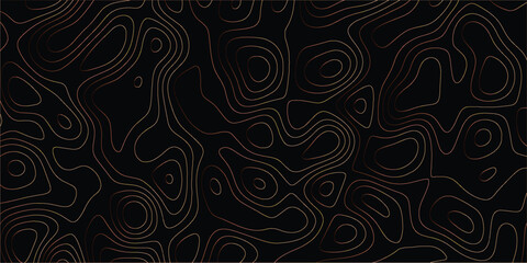 Seamless geographic contour design with elevation-style curves and visual rhythm

