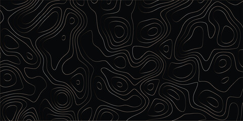 Seamless geographic contour design with elevation-style curves and visual rhythm

