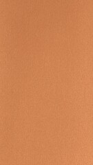 Fototapeta premium brown leather texture