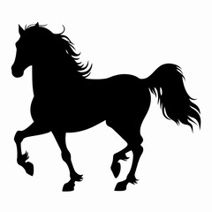 Big horse silhouette 