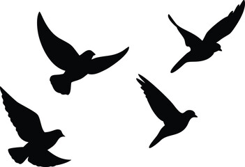 Fototapeta premium Graceful Flying Bird Silhouettes with Transparent Background