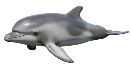 Isolated Gray Dolphin Marine Mammal Aquatic Animal