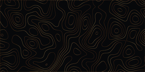 Seamless elevation line art with contour-based flowing terrain inspiration

