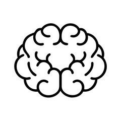 brain flat vector