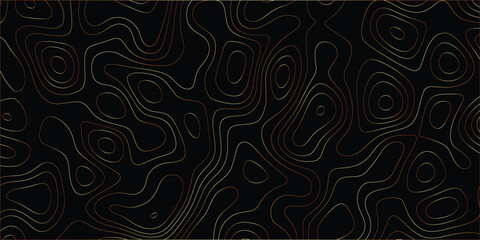 Artistic abstract map pattern with flowing elevation lines and clean structure

