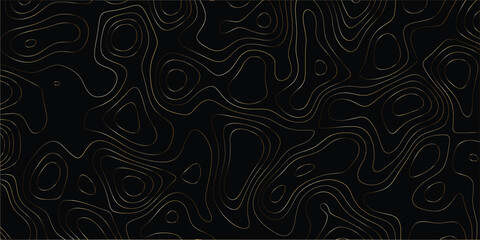 Organic contour line pattern mimicking elevation maps in modern abstract format

