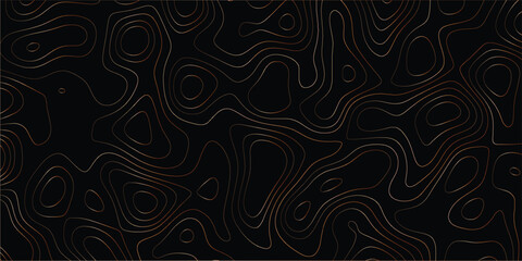 Abstract elevation-style design with continuous flowing lines in artistic mapping style

