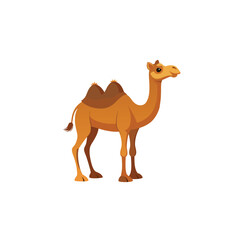 Cartoon illustration of a camel isolated on a white background, showcasing its hump and desert nature, representing wildlife and travel
