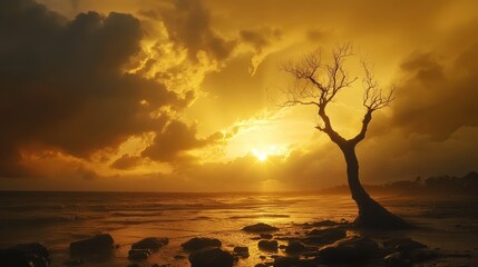 Golden Sunset Over Ocean with Silhouette Tree