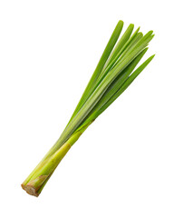 Fresh lemongrass stalks isolated on transparent background