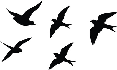Fototapeta premium vector silhouettes of birds