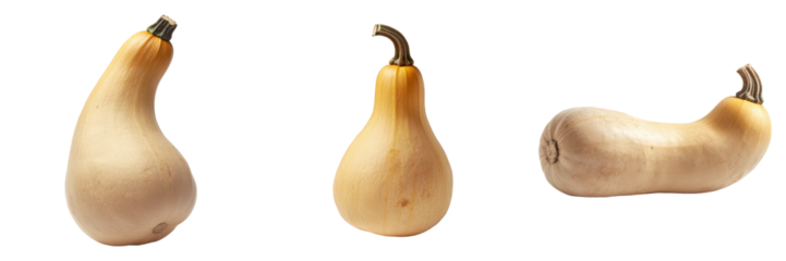 Three views of a pale butternut squash.