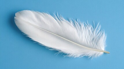 Obraz premium Fluffy white feather resting near the edge of a blue surface