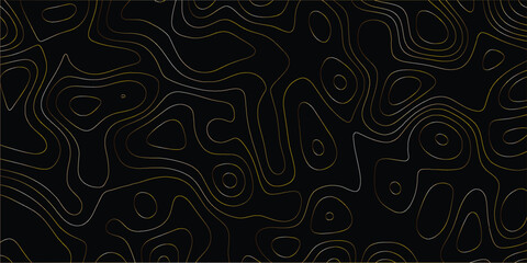 Abstract mapping pattern with elevation-style contours and clean design

