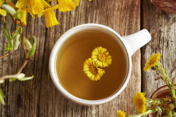 Coltsfoot tea with fresh Tussilago flowers in a white cup