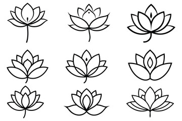 line drawing blooming lotus flower