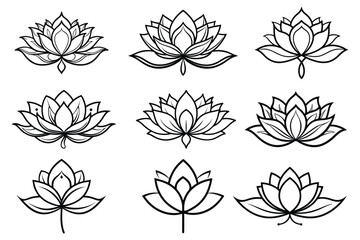 line drawing blooming lotus flower