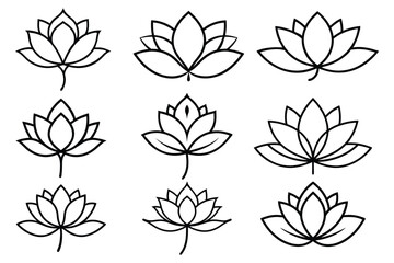 line drawing blooming lotus flower