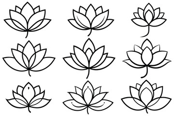 line drawing blooming lotus flower