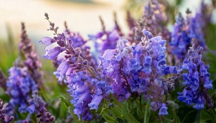 Obraz premium 美しい花の背景、いろんな種類の花がたくさん