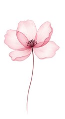 Naklejka premium A delicate blush pink flower, serenely blooming, evokes feelings of gentle peace and quiet contemplation with a soft, watercolor-like effect.