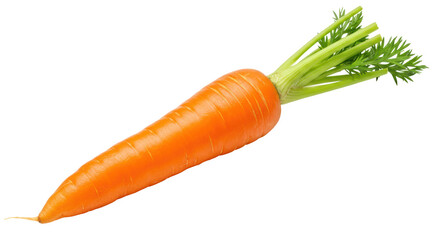 Isolated Fresh Orange Carrot