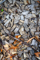 Wooden chip mulch ground's fragment. A textured background of wooden chips commonly used in...