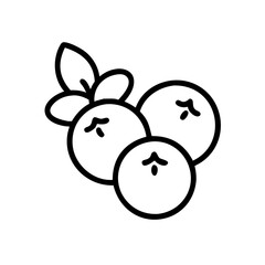 blueberry flat vector