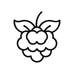 cloudberry flat vector