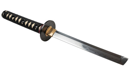 Isolated Japanese Sword with Sheath for Martial Arts