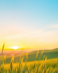 Fototapeta premium Golden Hour Sunrise Over Lush Field with Wheat Grass Silhouette Nature Landscape Scenery