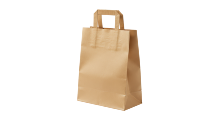 Isolated Simple Brown Paper Bag