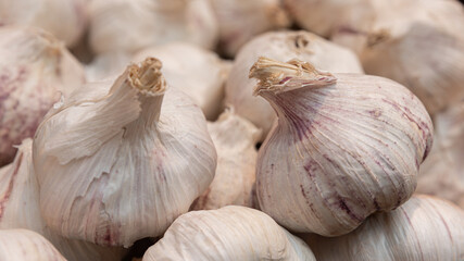 Garlic textures, heads in detail