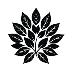 black and white leaves