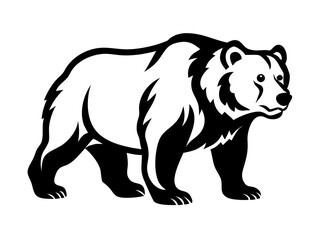 vector illustration of a bear