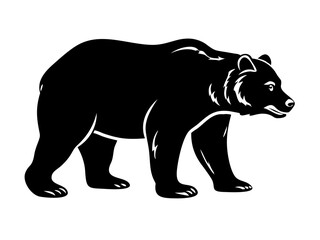 vector illustration of a bear