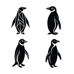 Obraz premium set of birds