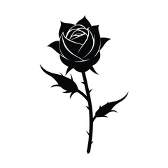 Obraz premium black rose vector illustration