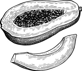 Halved papaya and slice ink sketch