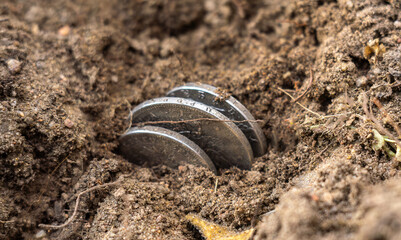 A few coins partially buried in the ground. A treasure trove of coins.
