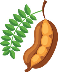 A stylish vector of a Tamarind (Tetul) with its brown pod and green leaves, isolated on a white background