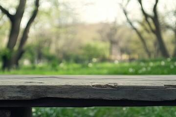 Naklejka premium A weathered wooden surface frames a green outdoor natural background