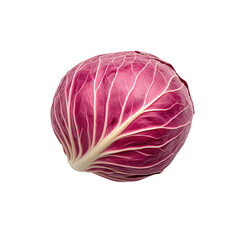 Obraz premium Fresh red cabbage with visible veins on a white isolated background, perfect for healthy recipes, salads, and natural food presentations.