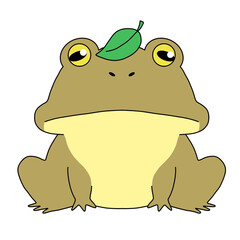 頭に葉っぱをのせたカエルのイラスト