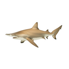 Fototapeta premium Realistic illustration of a shark swimming gracefully in the ocean. Its sleek body and powerful fins showcase the beauty and majesty of marine life.