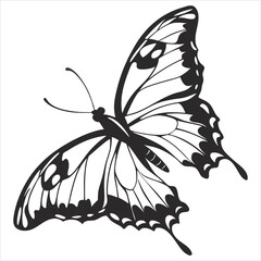  silhouette butterfly