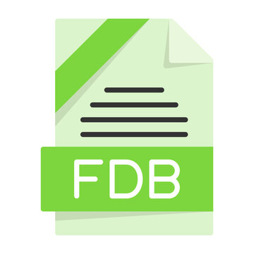 FDB File Format Flat Style Icon