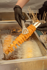 Chef holds tornado potato or spiral chips in boiling oil in fryer with tongs. Street food. Close-up